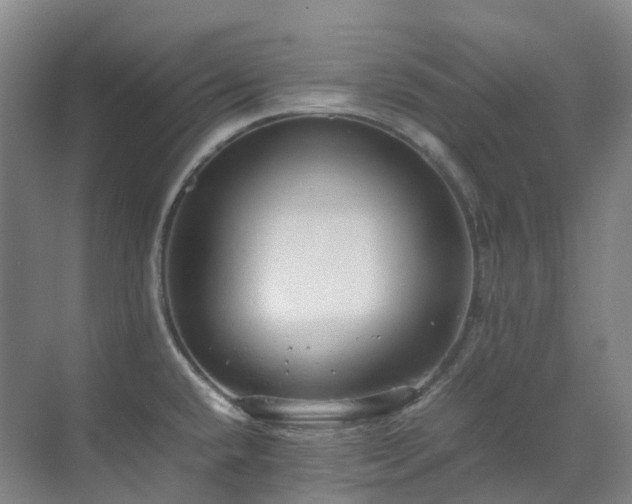 X0000070851432200606161123