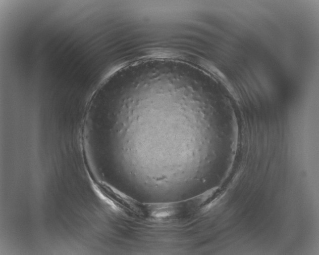 X0000070851433200606161123