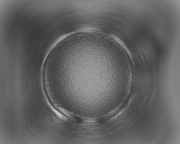 X0000070851437200606161123