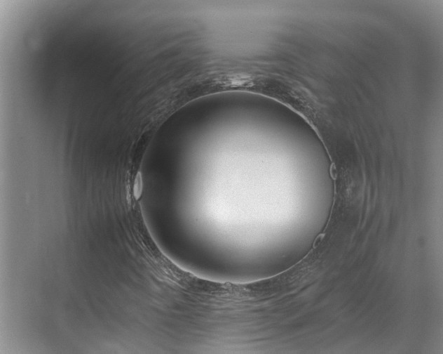 X0000070851442200606161123