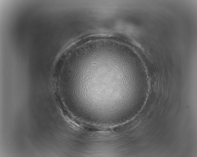 X0000070851448200606161122