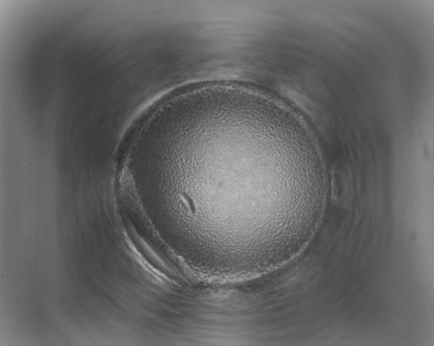 X0000070851452200606161122