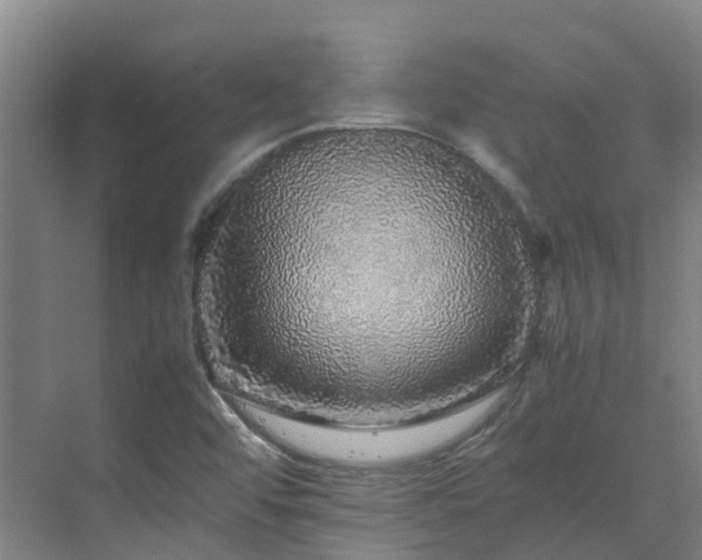 X0000070851456200606161122