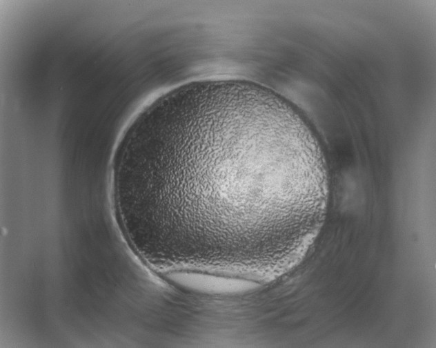 X0000070851472200606161122