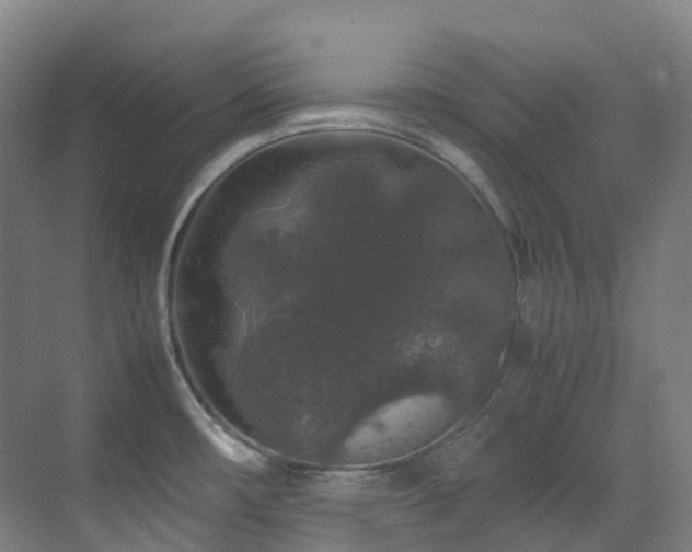 X0000070851482200606161122