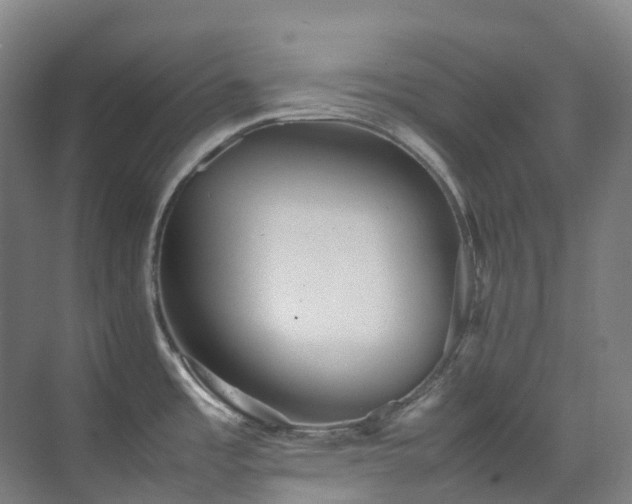 X0000070851485200606161122