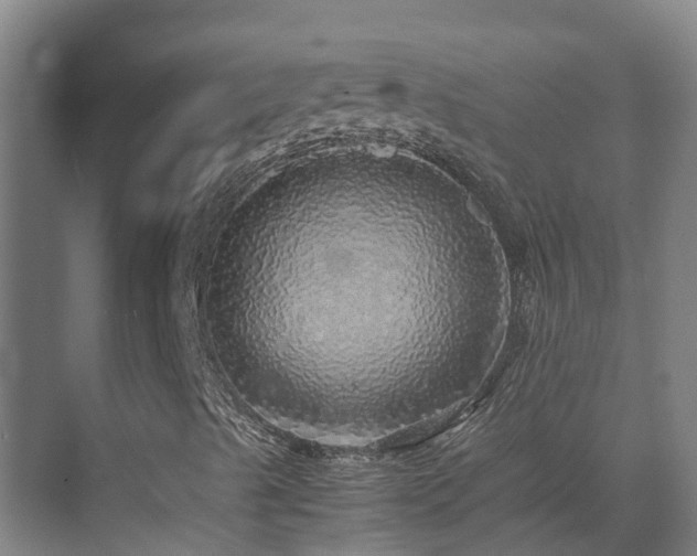 X0000070851489200606161121
