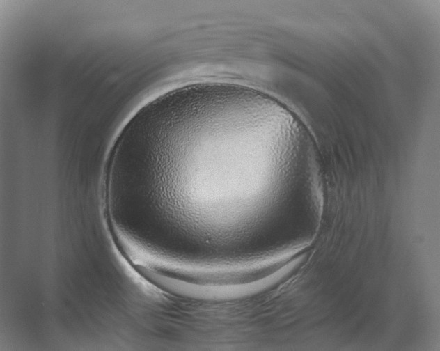 X0000070851531200606161122