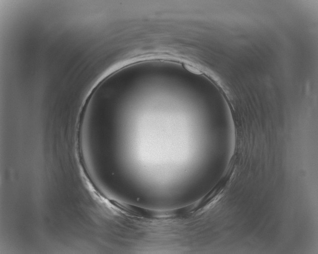 X0000070851534200606161122