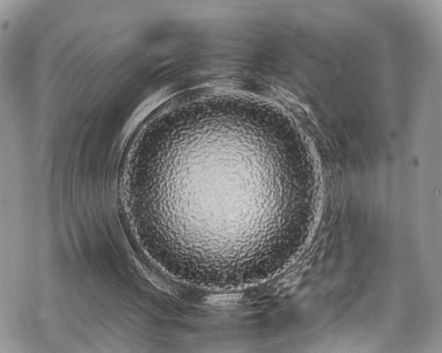 X0000070850051200606191258