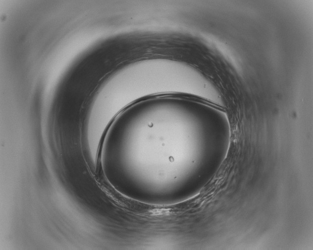 X0000070850052200606191258