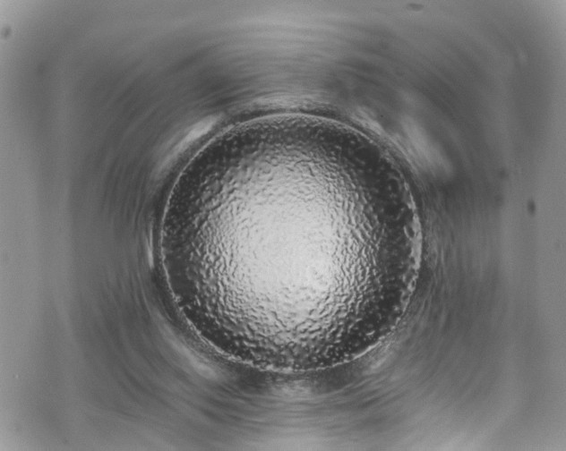X0000070850062200606191259