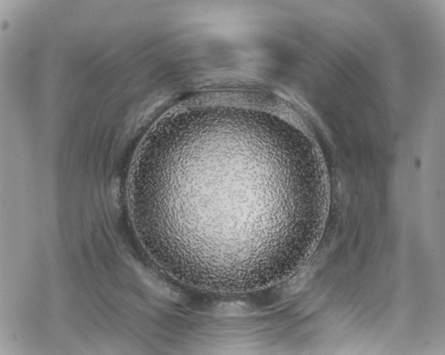X0000070850066200606191259