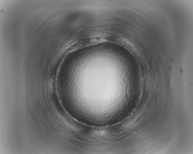 X0000070850071200606191259