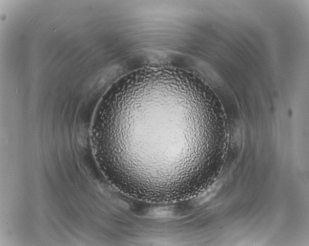X0000070850078200606191259