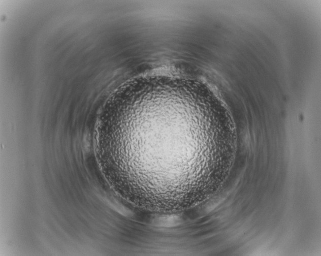X0000070850081200606191259