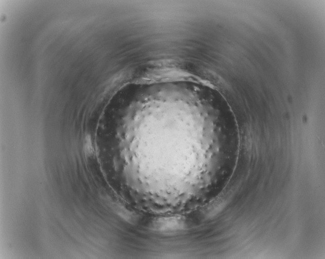 X0000070850089200606191259