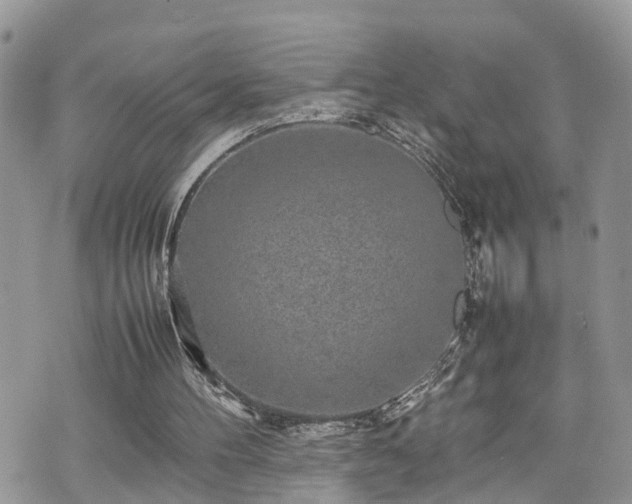 X0000070850100200606191258