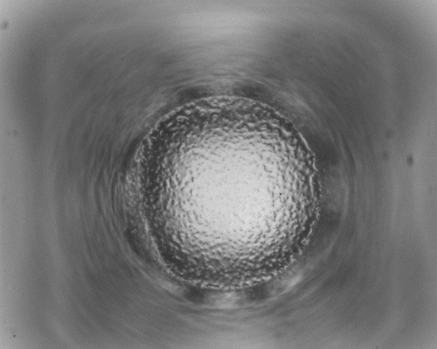 X0000070850131200606191258