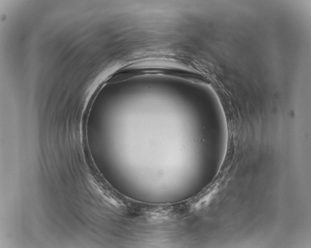 X0000070850148200606191257