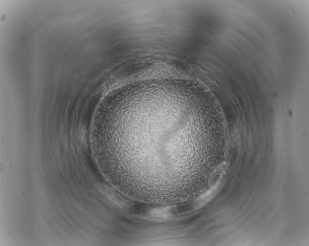 X0000070850178200606191257