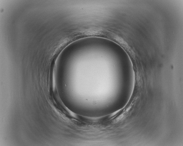 X0000070850201200606191257