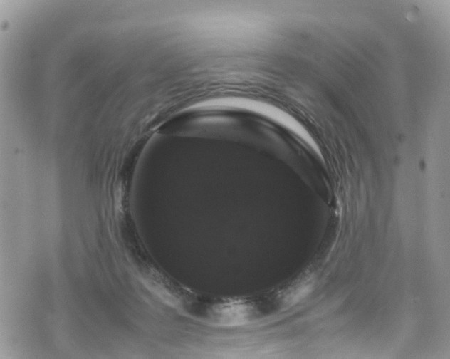 X0000070850219200606191256