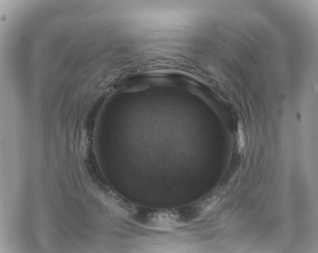 X0000070850223200606191256