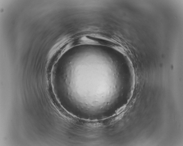 X0000070850245200606191255