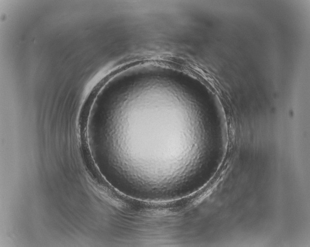 X0000070850246200606191255