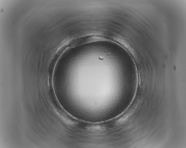 X0000070850253200606191255
