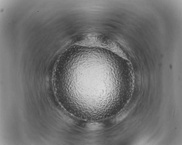 X0000070850269200606191256