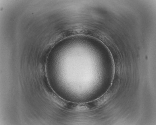X0000070850270200606191256