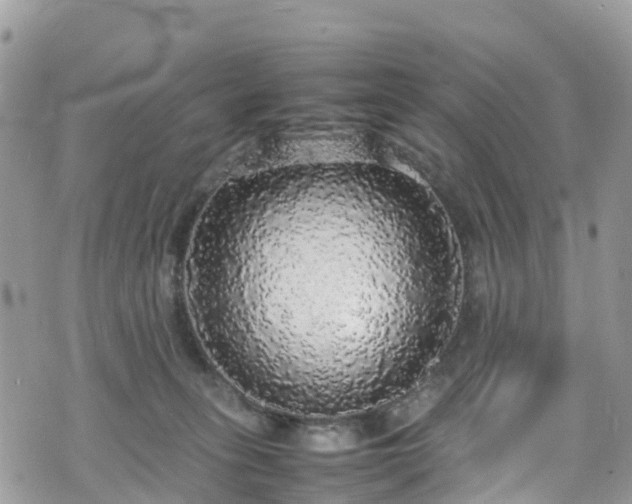 X0000070850275200606191256