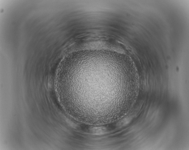 X0000070850277200606191256