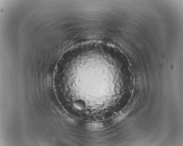X0000070850281200606191256