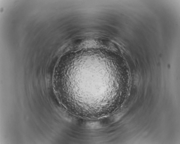X0000070850283200606191256