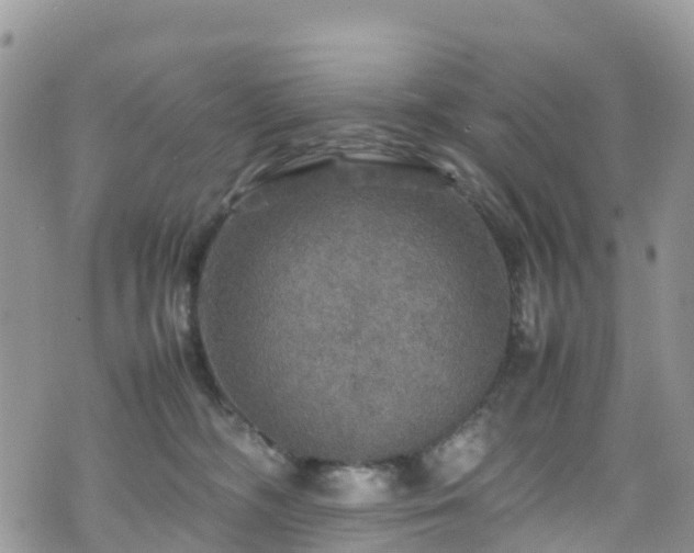 X0000070850326200606191255