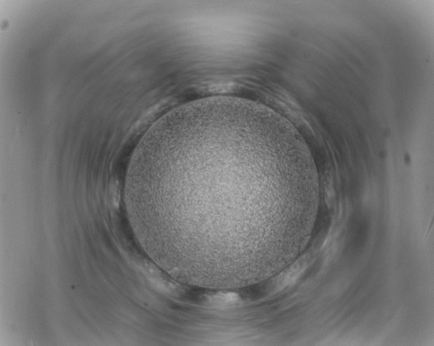X0000070850374200606191254