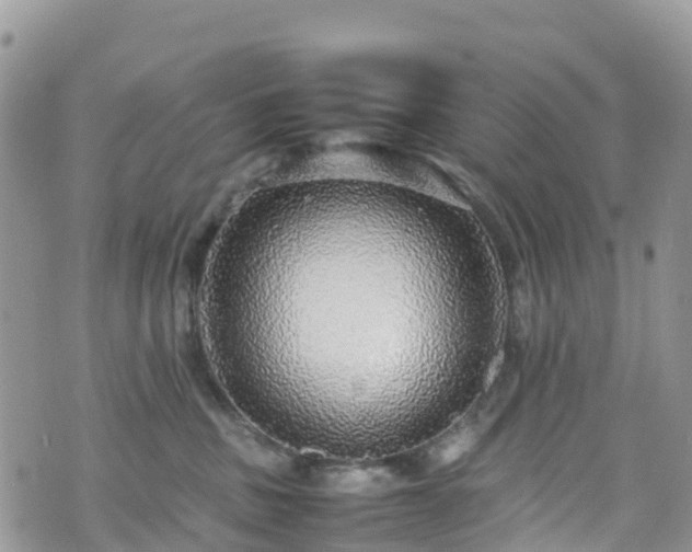 X0000070850379200606191254