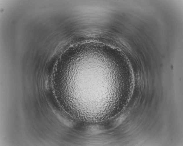 X0000070850408200606191253