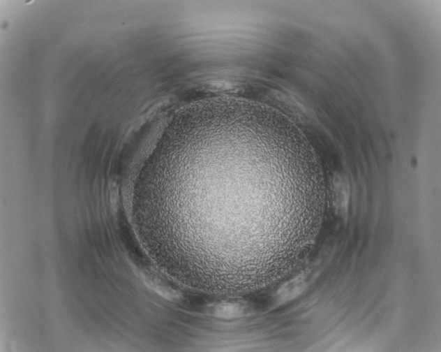 X0000070850412200606191253