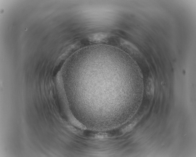 X0000070850420200606191253