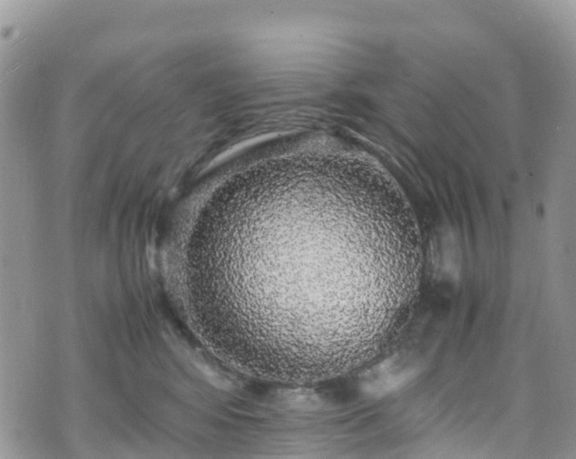 X0000070850424200606191253