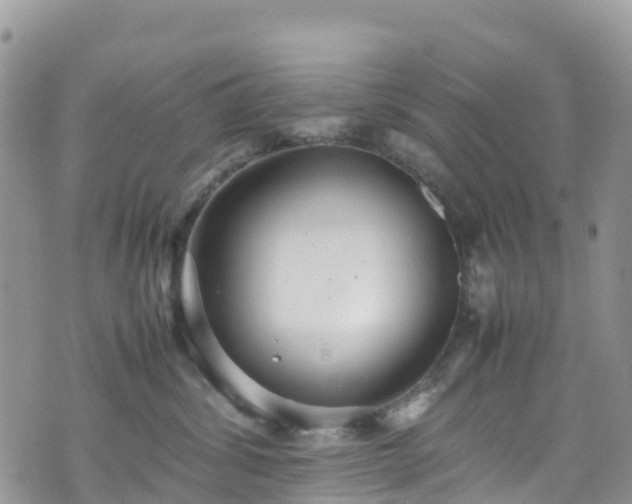 X0000070850428200606191253