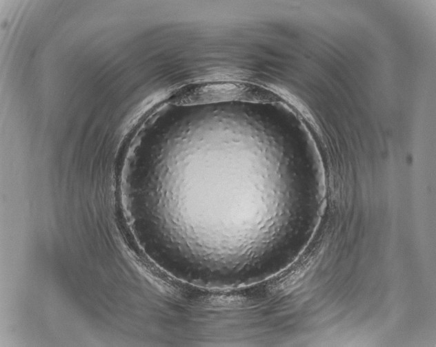 X0000070850437200606191252