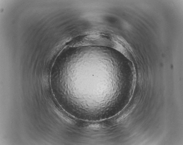 X0000070850441200606191252