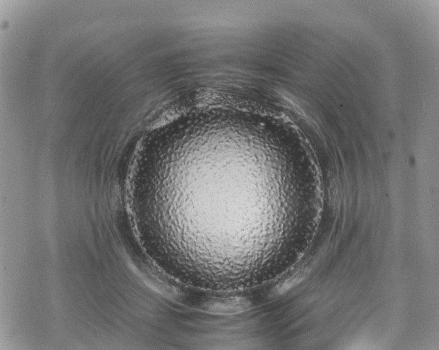 X0000070850459200606191253