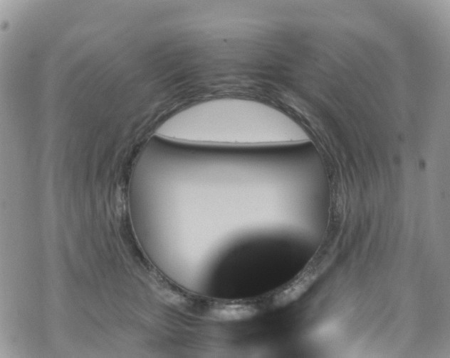 X0000070850467200606191253
