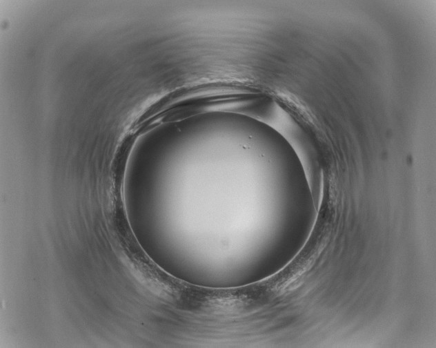 X0000070850540200606191251